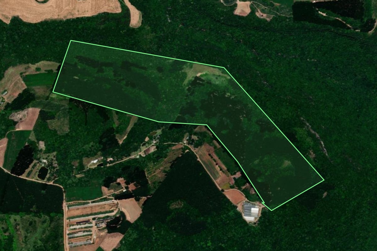 Imagem de satélite do imóvel rural em Dois Lajeados (RS), com o contorno declarado no CAR desenhado por cima.