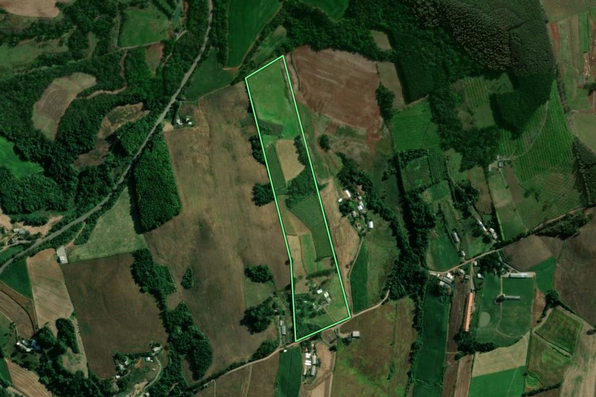 Imagem de satélite do imóvel rural em Dois Lajeados (RS), com o contorno declarado no CAR desenhado por cima.