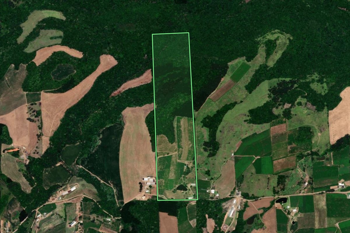 Imagem de satélite do imóvel rural em Dois Lajeados (RS), com o contorno declarado no CAR desenhado por cima.
