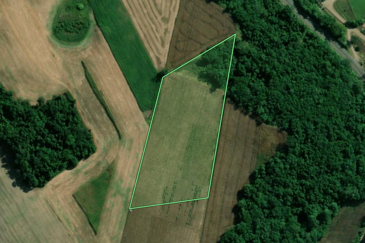 Imagem de satélite do imóvel rural em Dois Lajeados (RS), com o contorno declarado no CAR desenhado por cima.