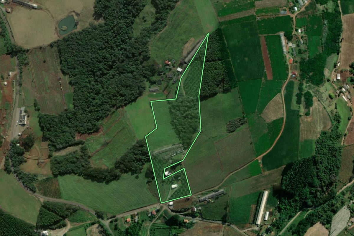 Imagem de satélite do imóvel rural em Dois Lajeados (RS), com o contorno declarado no CAR desenhado por cima.