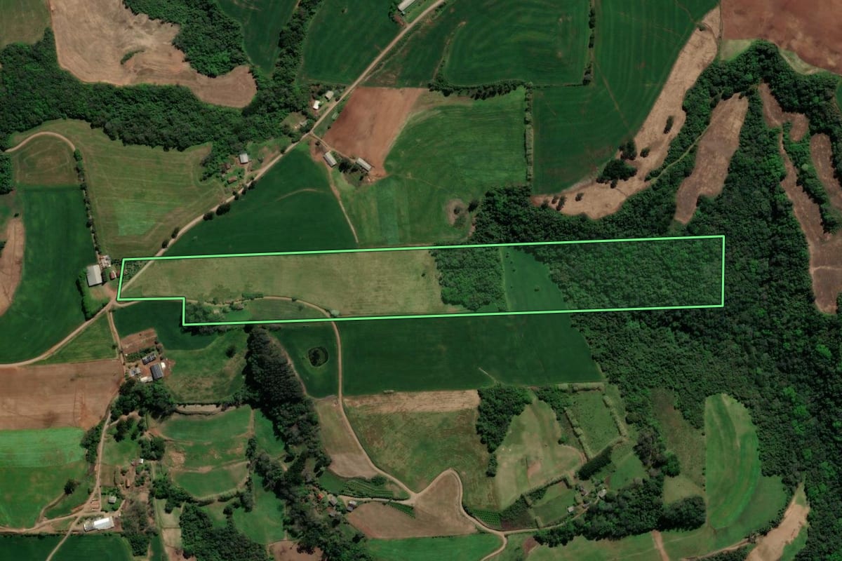 Imagem de satélite do imóvel rural em Dois Lajeados (RS), com o contorno declarado no CAR desenhado por cima.