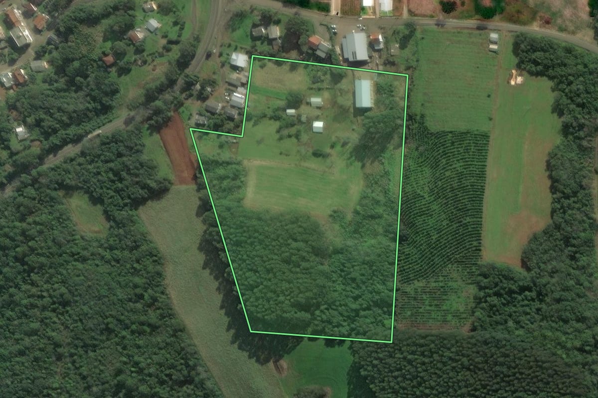Imagem de satélite do imóvel rural em Dois Lajeados (RS), com o contorno declarado no CAR desenhado por cima.