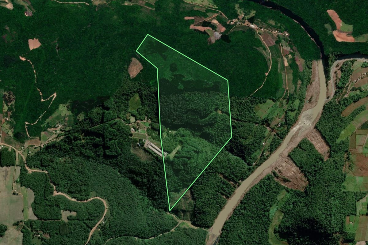 Imagem de satélite do imóvel rural em Dois Lajeados (RS), com o contorno declarado no CAR desenhado por cima.
