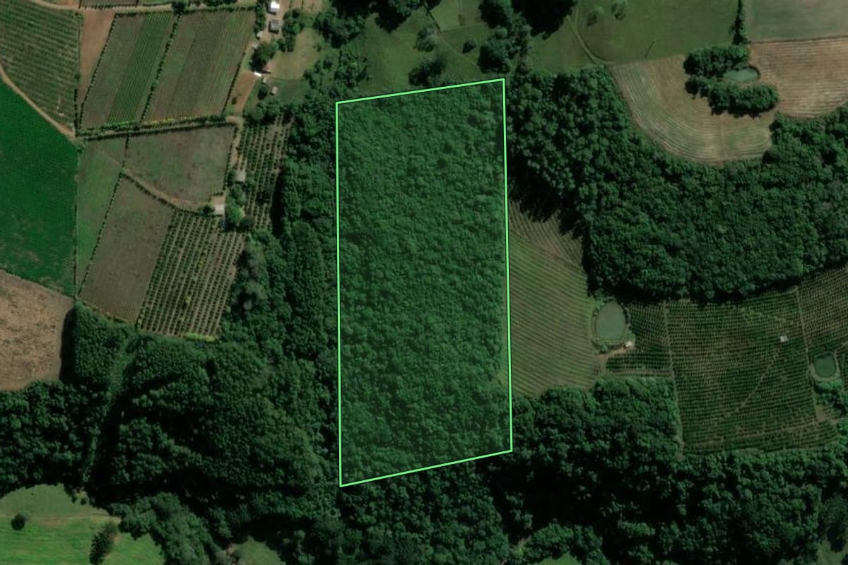 Imagem de satélite do imóvel rural em Dois Lajeados (RS), com o contorno declarado no CAR desenhado por cima.