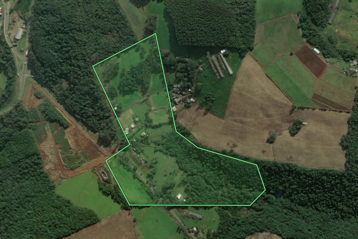 Imagem de satélite do imóvel rural em Dois Lajeados (RS), com o contorno declarado no CAR desenhado por cima.