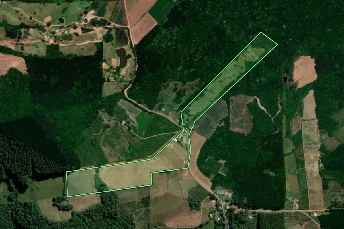 Imagem de satélite do imóvel rural em Dois Lajeados (RS), com o contorno declarado no CAR desenhado por cima.