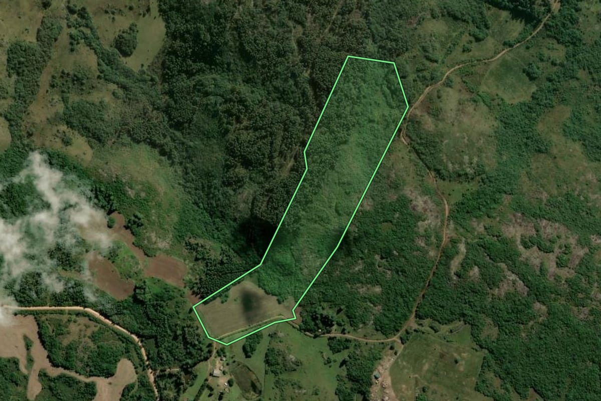 Imagem de satélite do imóvel rural em Dom Feliciano (RS), com o contorno declarado no CAR desenhado por cima.