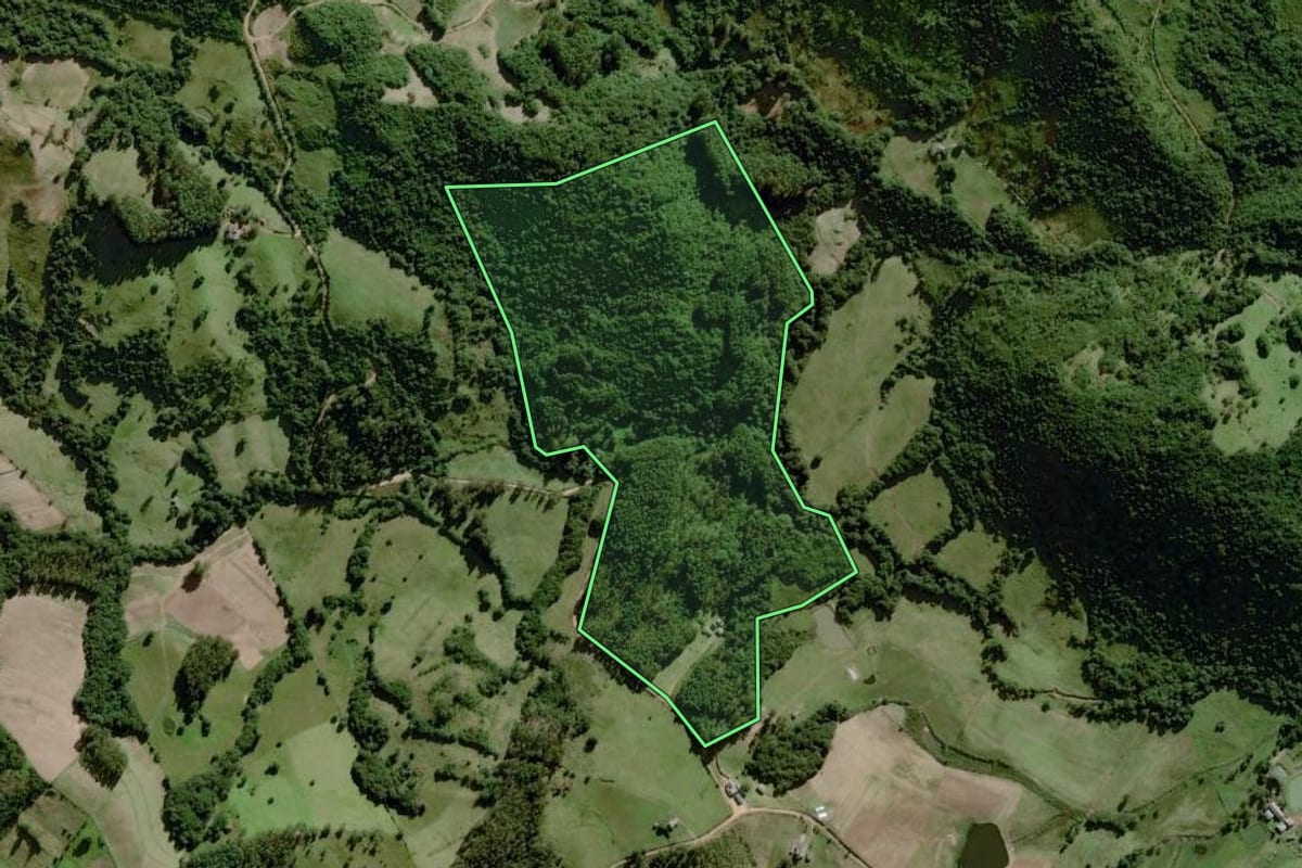 Imagem de satélite do imóvel rural em Dom Feliciano (RS), com o contorno declarado no CAR desenhado por cima.