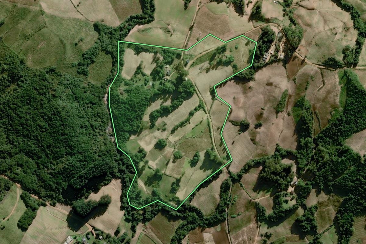 Imagem de satélite do imóvel rural em Dom Feliciano (RS), com o contorno declarado no CAR desenhado por cima.