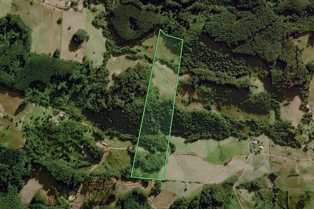 Imagem de satélite do imóvel rural em Dom Feliciano (RS), com o contorno declarado no CAR desenhado por cima.