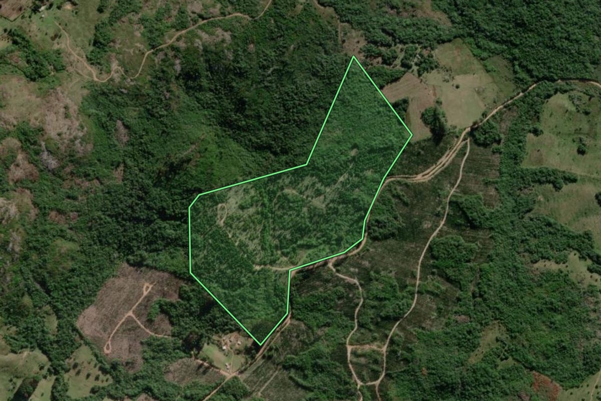 Imagem de satélite do imóvel rural em Dom Feliciano (RS), com o contorno declarado no CAR desenhado por cima.