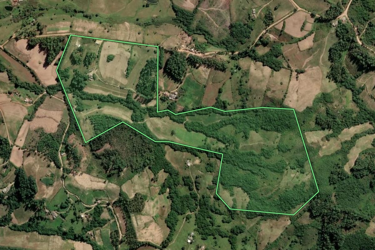 Imagem de satélite do imóvel rural em Dom Feliciano (RS), com o contorno declarado no CAR desenhado por cima.
