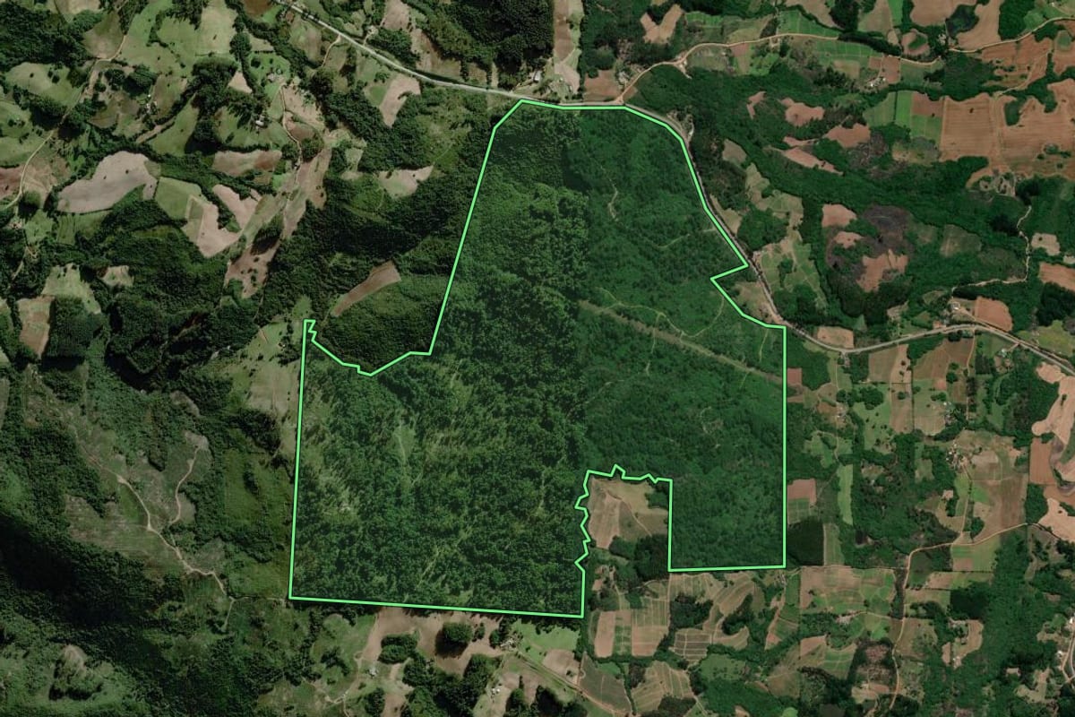 Imagem de satélite do imóvel rural em Dom Feliciano (RS), com o contorno declarado no CAR desenhado por cima.