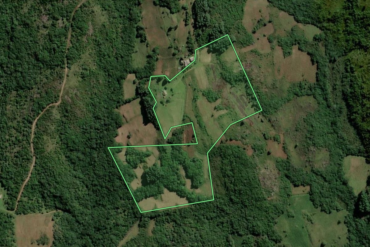 Imagem de satélite do imóvel rural em Dom Feliciano (RS), com o contorno declarado no CAR desenhado por cima.