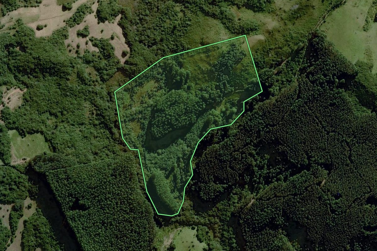 Imagem de satélite do imóvel rural em Dom Feliciano (RS), com o contorno declarado no CAR desenhado por cima.