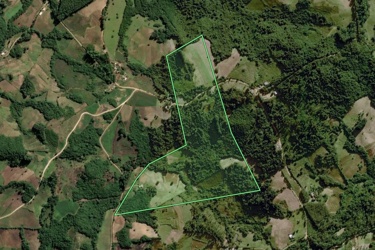 Imagem de satélite do imóvel rural em Dom Feliciano (RS), com o contorno declarado no CAR desenhado por cima.