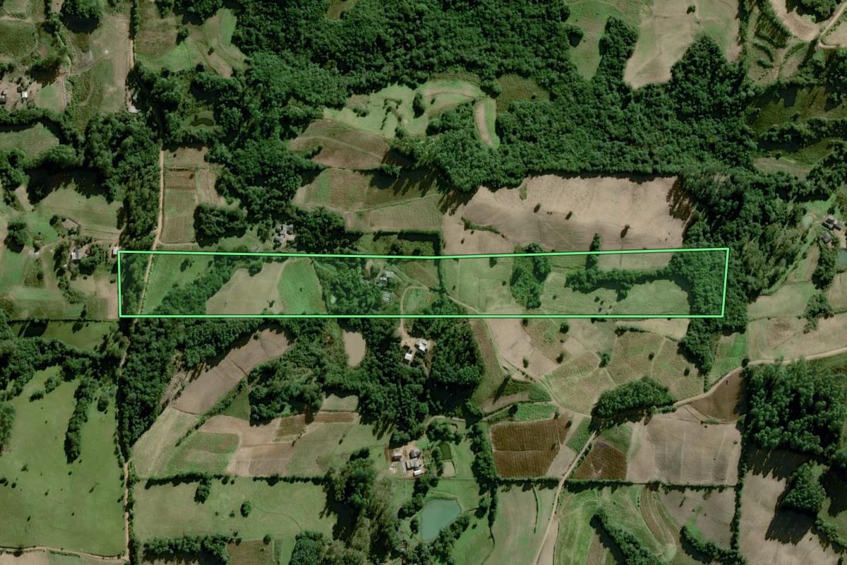 Imagem de satélite do imóvel rural em Dom Feliciano (RS), com o contorno declarado no CAR desenhado por cima.