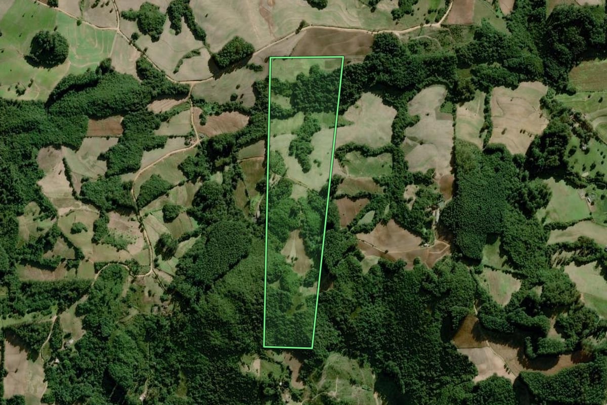 Imagem de satélite do imóvel rural em Dom Feliciano (RS), com o contorno declarado no CAR desenhado por cima.