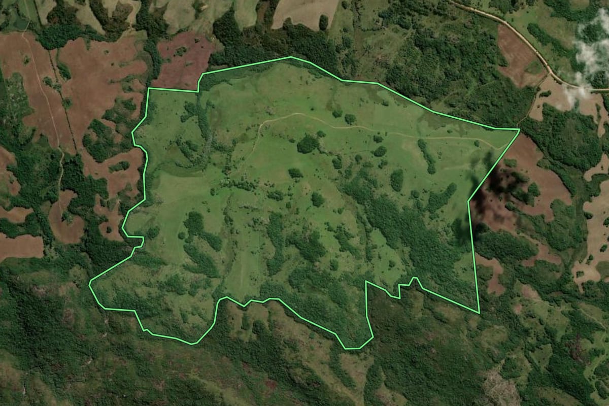 Imagem de satélite do imóvel rural em Dom Feliciano (RS), com o contorno declarado no CAR desenhado por cima.