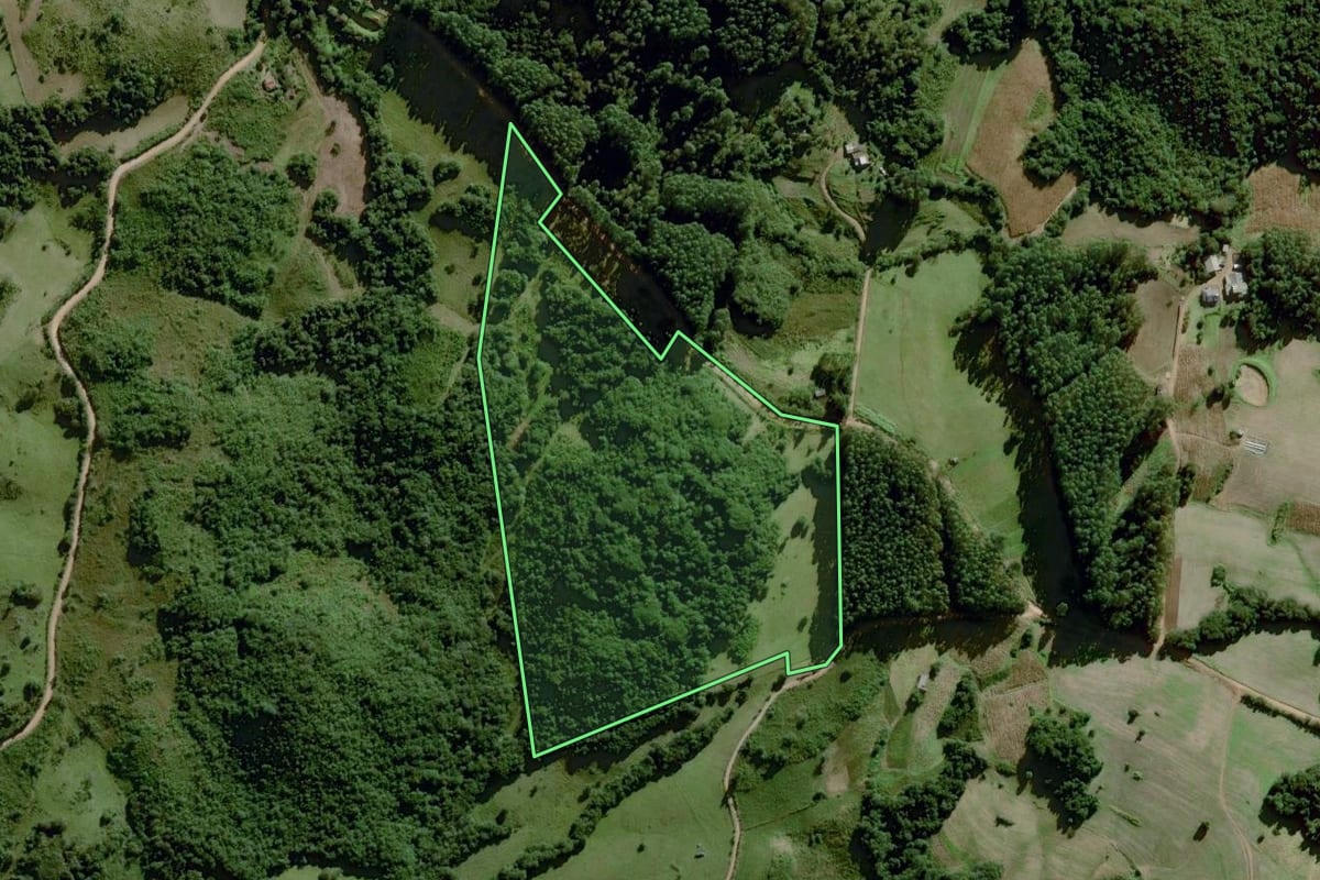 Imagem de satélite do imóvel rural em Dom Feliciano (RS), com o contorno declarado no CAR desenhado por cima.
