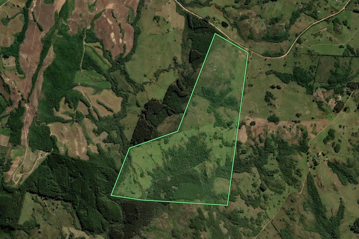 Imagem de satélite do imóvel rural em Dom Feliciano (RS), com o contorno declarado no CAR desenhado por cima.