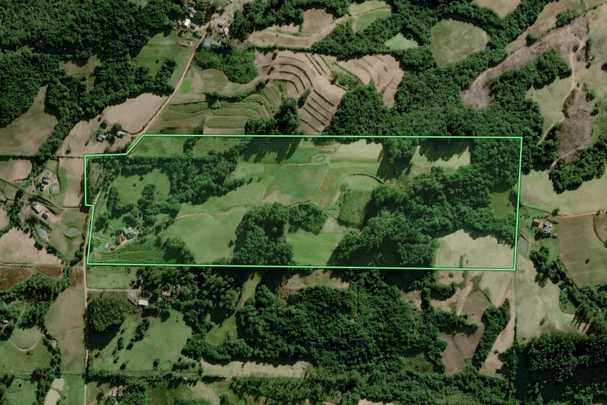 Imagem de satélite do imóvel rural em Dom Feliciano (RS), com o contorno declarado no CAR desenhado por cima.