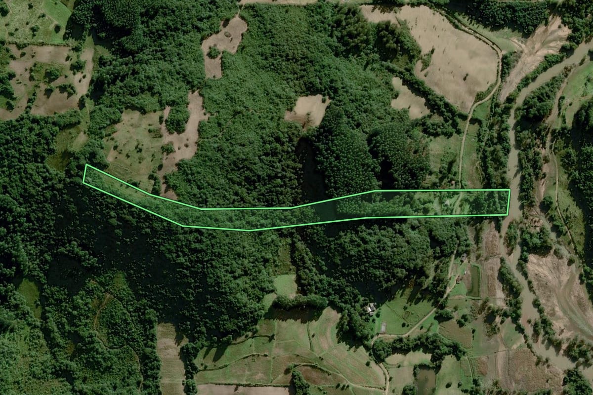 Imagem de satélite do imóvel rural em Dom Feliciano (RS), com o contorno declarado no CAR desenhado por cima.