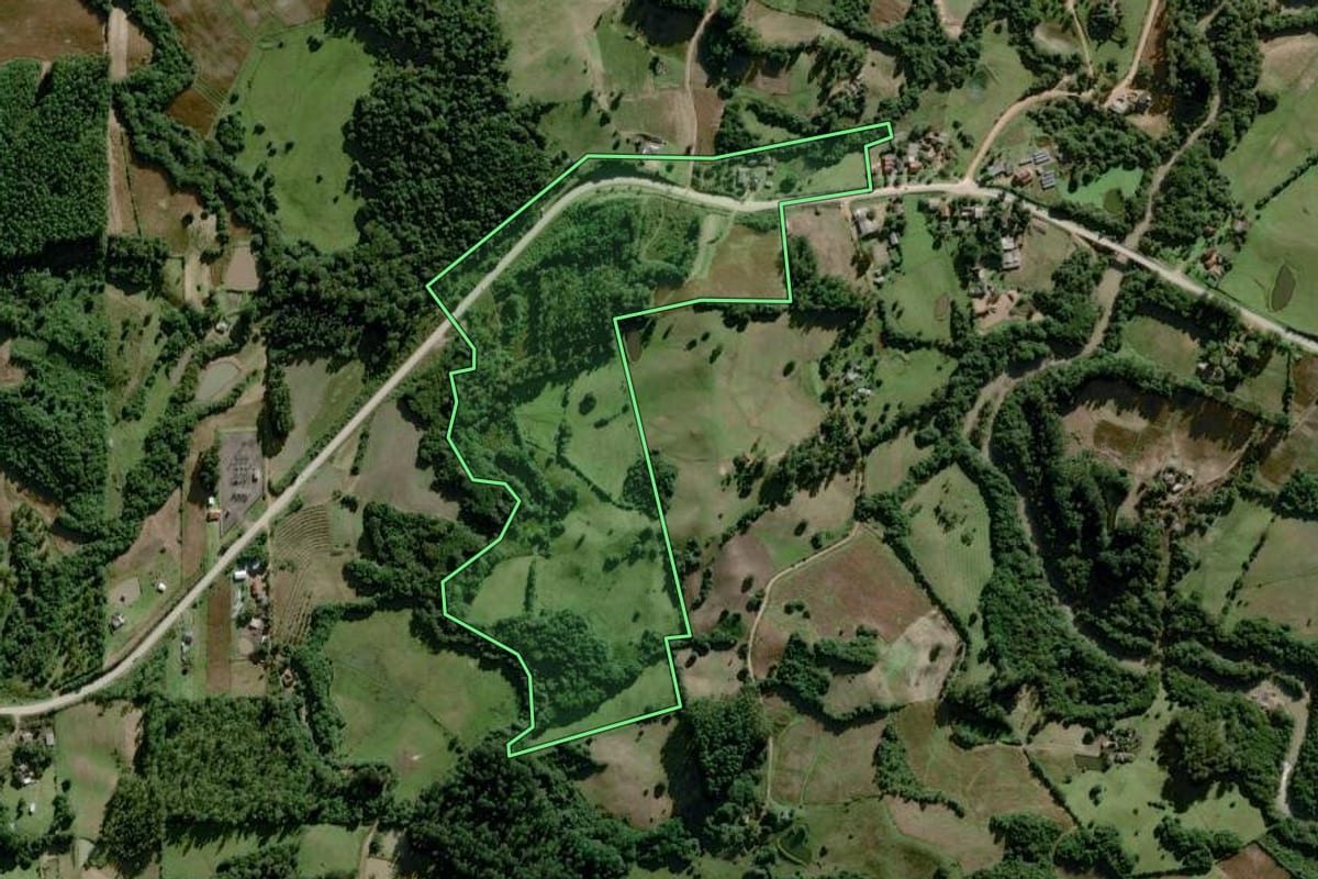 Imagem de satélite do imóvel rural em Dom Feliciano (RS), com o contorno declarado no CAR desenhado por cima.