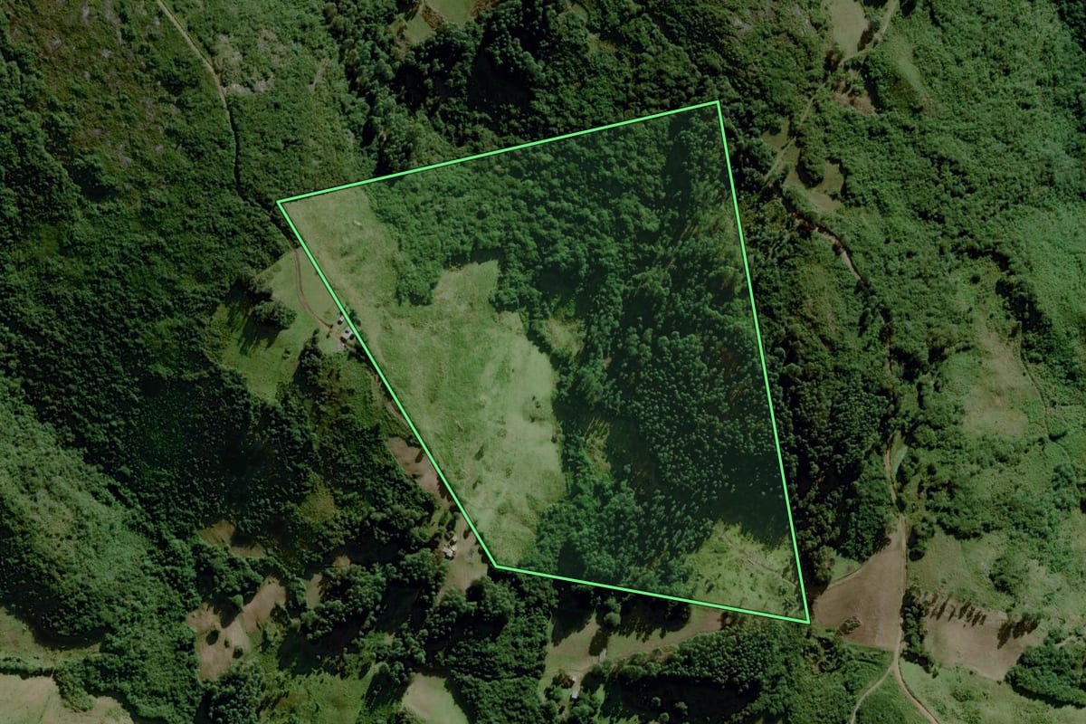 Imagem de satélite do imóvel rural em Dom Feliciano (RS), com o contorno declarado no CAR desenhado por cima.