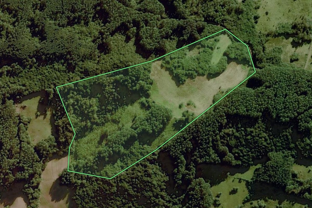 Imagem de satélite do imóvel rural em Dom Feliciano (RS), com o contorno declarado no CAR desenhado por cima.