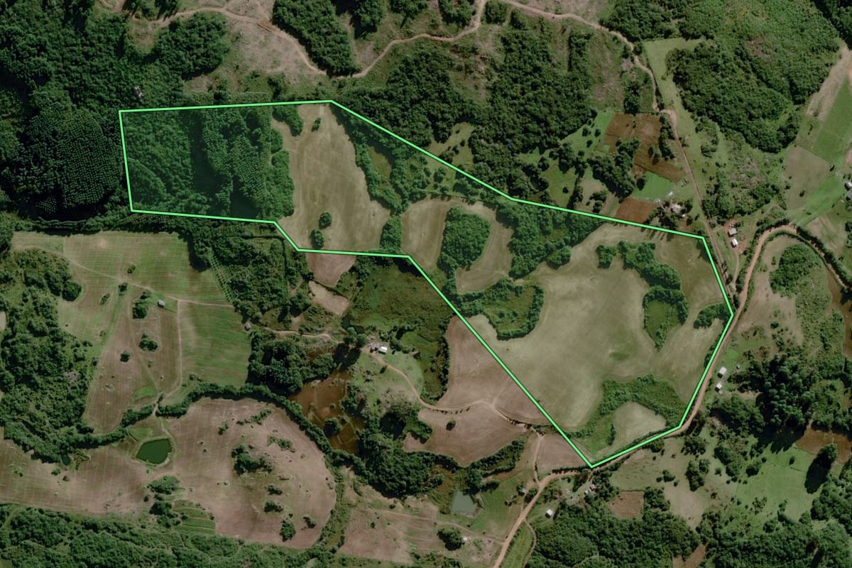Imagem de satélite do imóvel rural em Dom Feliciano (RS), com o contorno declarado no CAR desenhado por cima.