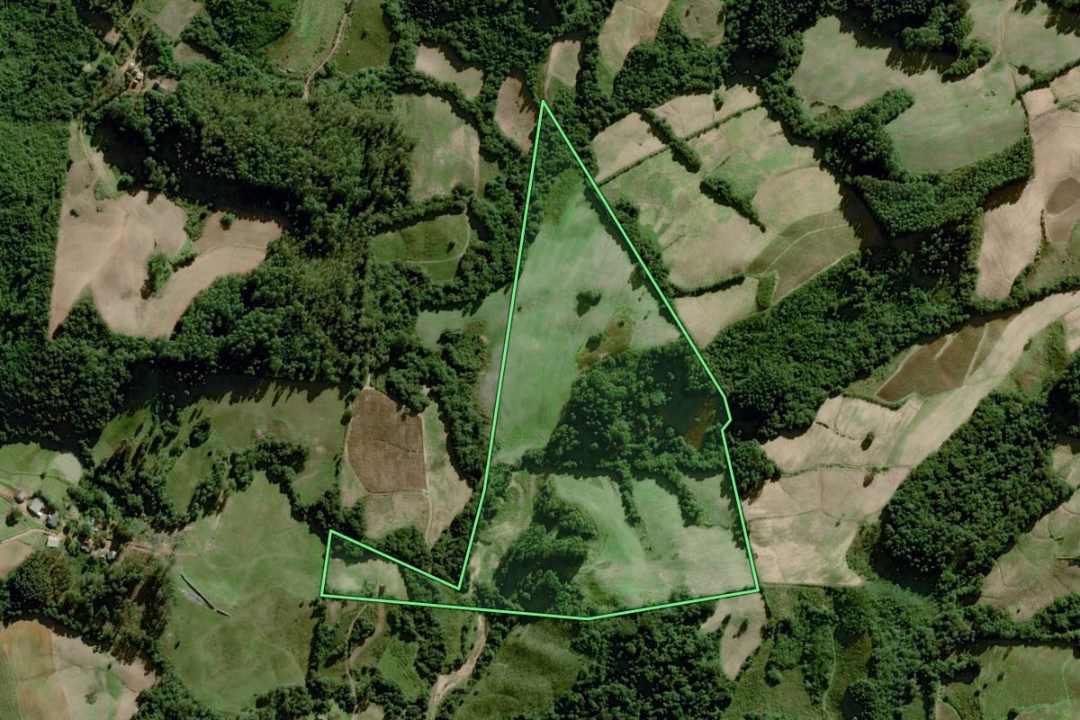 Imagem de satélite do imóvel rural em Dom Feliciano (RS), com o contorno declarado no CAR desenhado por cima.