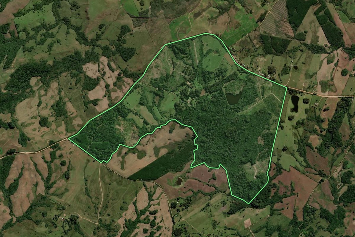 Imagem de satélite do imóvel rural em Dom Feliciano (RS), com o contorno declarado no CAR desenhado por cima.