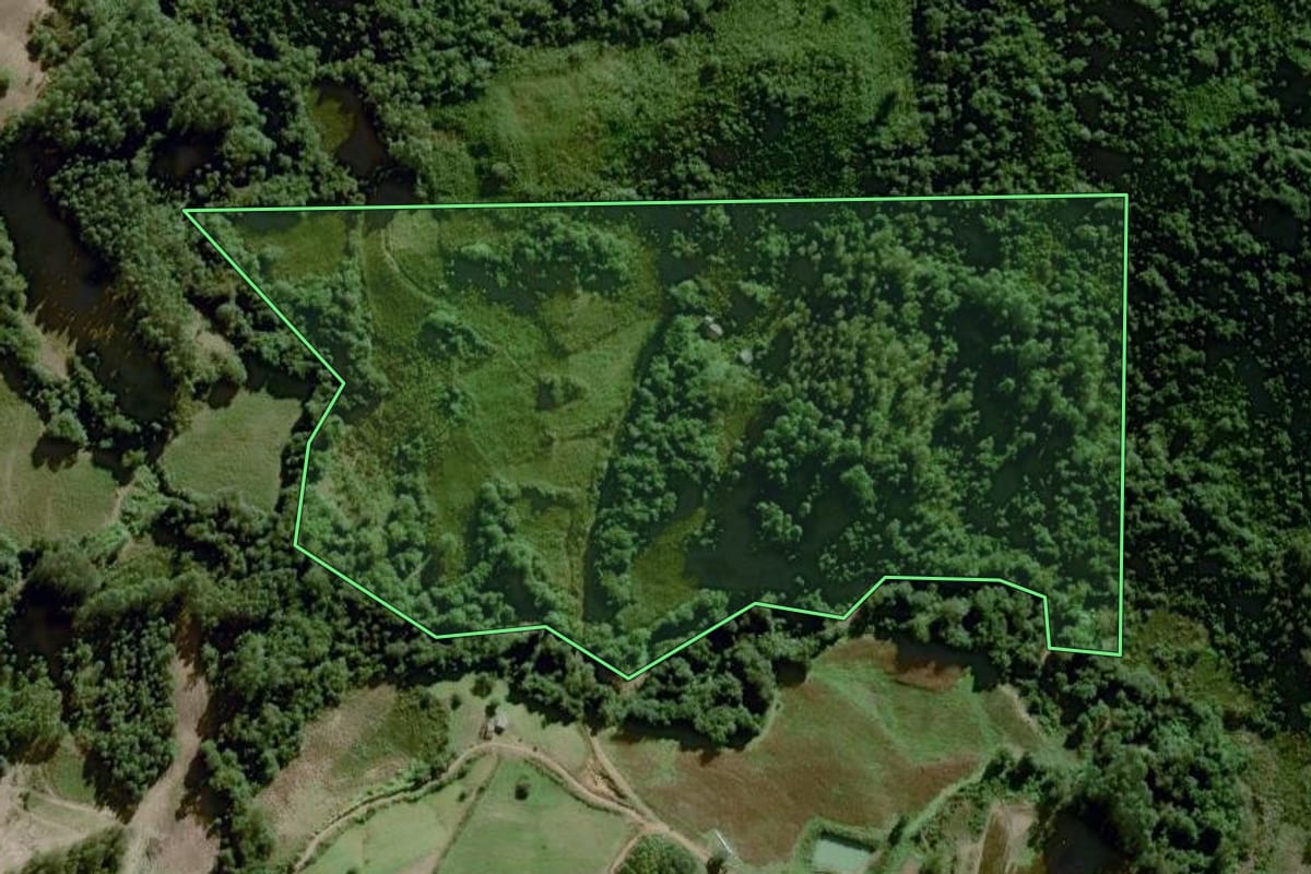 Imagem de satélite do imóvel rural em Dom Feliciano (RS), com o contorno declarado no CAR desenhado por cima.
