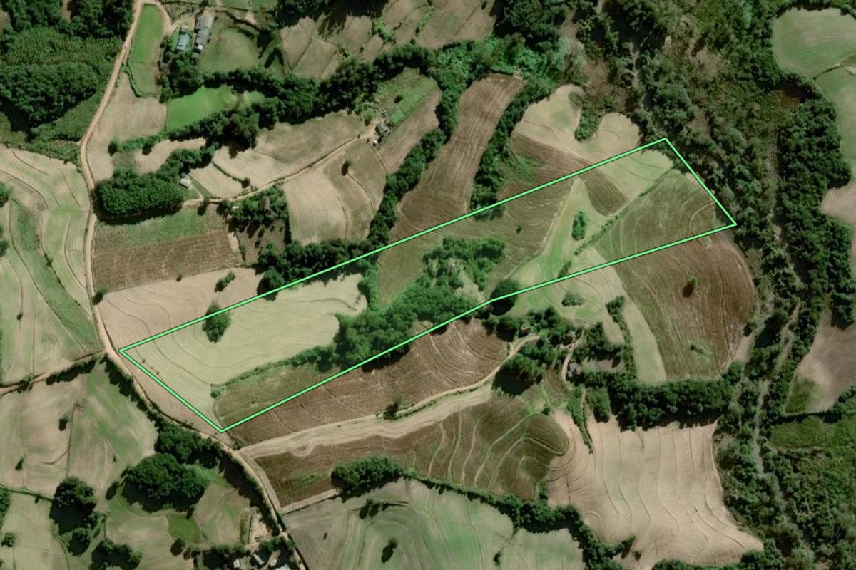 Imagem de satélite do imóvel rural em Dom Feliciano (RS), com o contorno declarado no CAR desenhado por cima.
