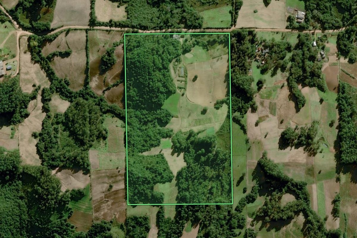 Imagem de satélite do imóvel rural em Dom Feliciano (RS), com o contorno declarado no CAR desenhado por cima.