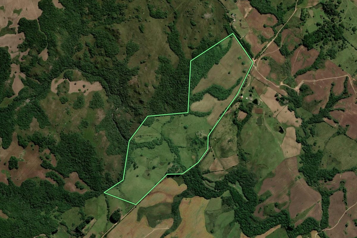Imagem de satélite do imóvel rural em Dom Feliciano (RS), com o contorno declarado no CAR desenhado por cima.