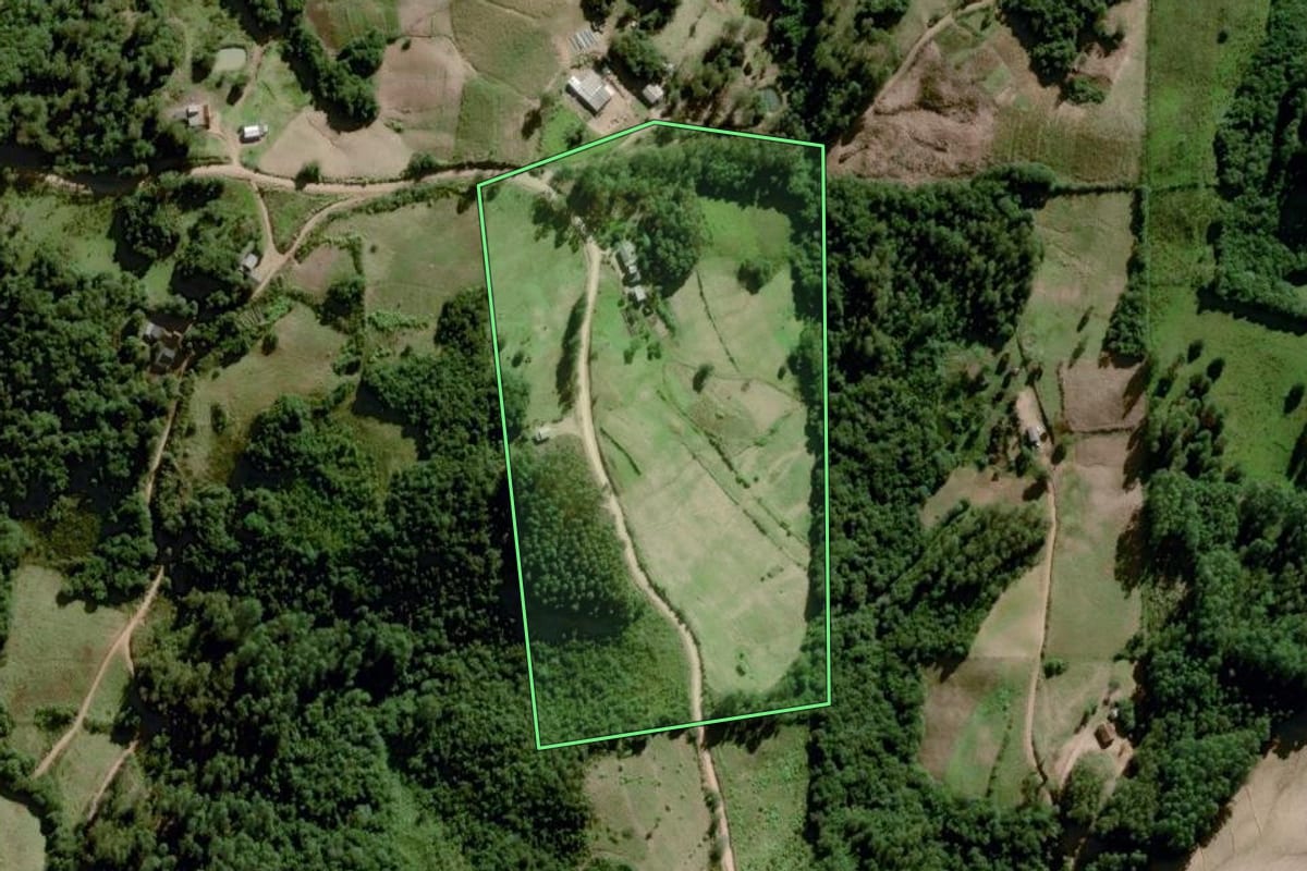 Imagem de satélite do imóvel rural em Dom Feliciano (RS), com o contorno declarado no CAR desenhado por cima.