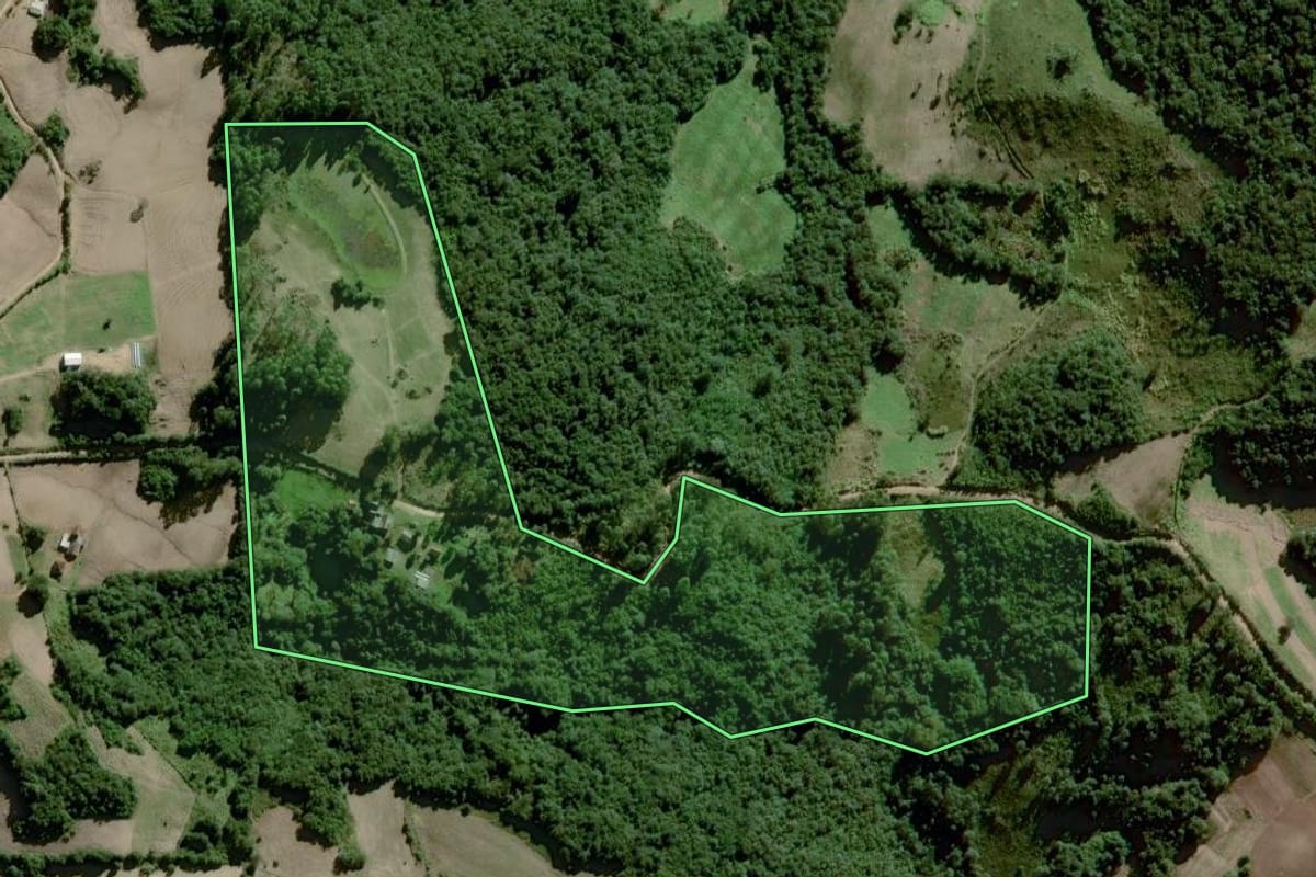 Imagem de satélite do imóvel rural em Dom Feliciano (RS), com o contorno declarado no CAR desenhado por cima.