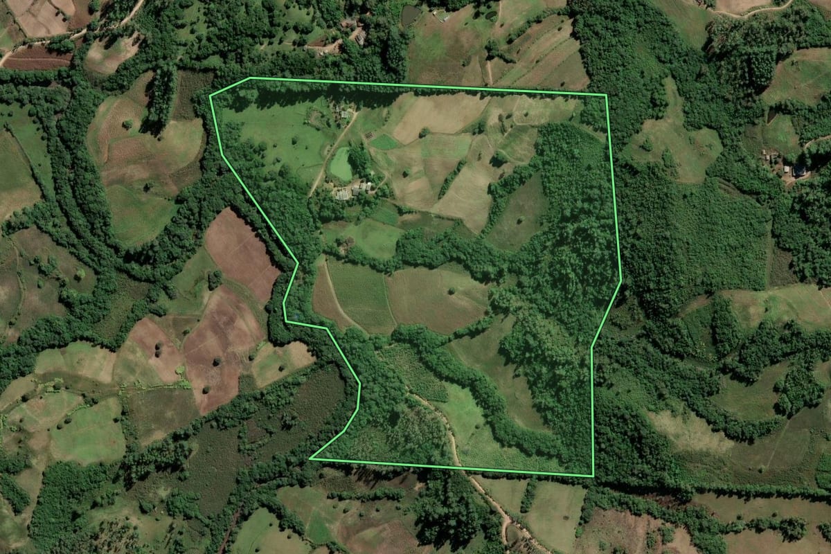 Imagem de satélite do imóvel rural em Dom Feliciano (RS), com o contorno declarado no CAR desenhado por cima.