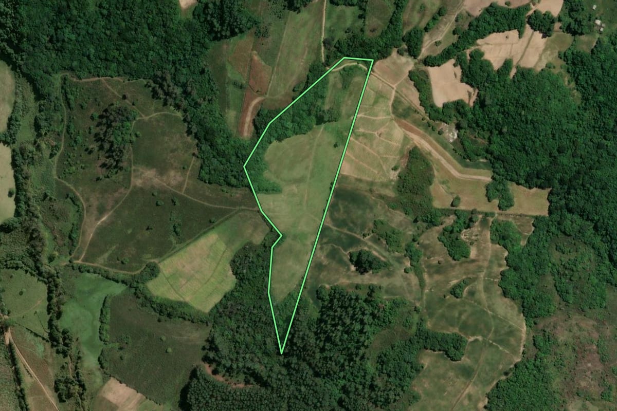 Imagem de satélite do imóvel rural em Dom Feliciano (RS), com o contorno declarado no CAR desenhado por cima.