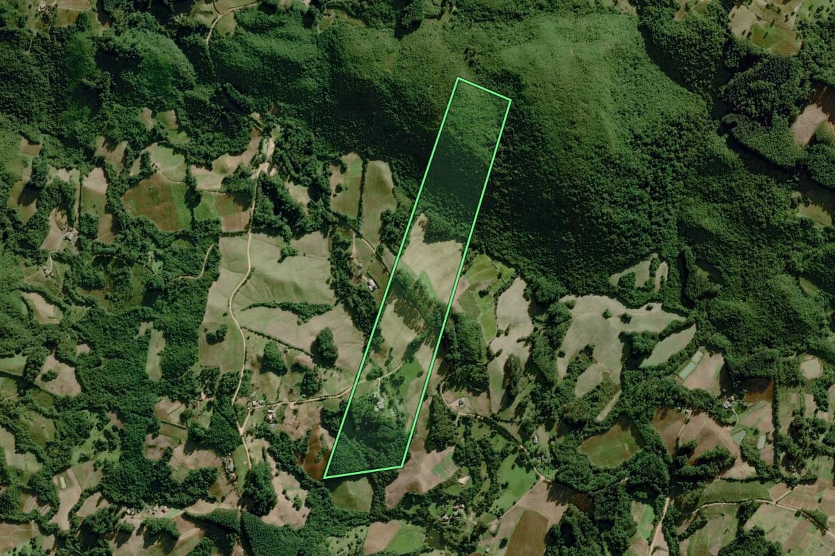 Imagem de satélite do imóvel rural em Dom Feliciano (RS), com o contorno declarado no CAR desenhado por cima.