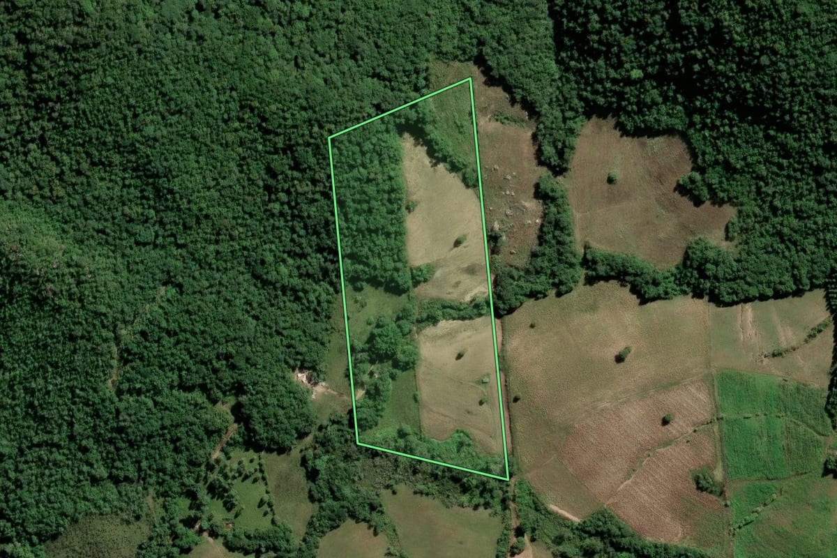 Imagem de satélite do imóvel rural em Dom Feliciano (RS), com o contorno declarado no CAR desenhado por cima.