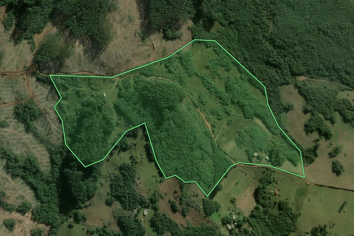 Imagem de satélite do imóvel rural em Dom Feliciano (RS), com o contorno declarado no CAR desenhado por cima.