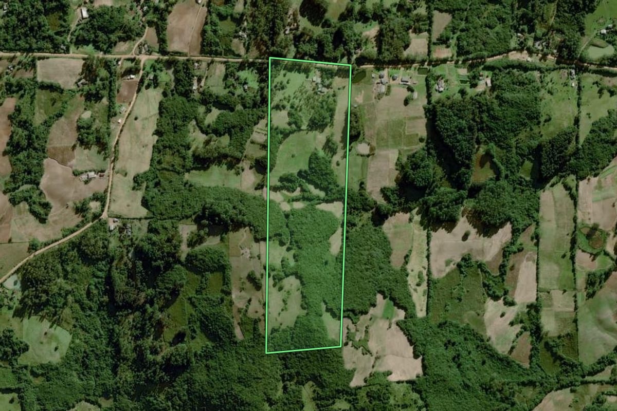 Imagem de satélite do imóvel rural em Dom Feliciano (RS), com o contorno declarado no CAR desenhado por cima.
