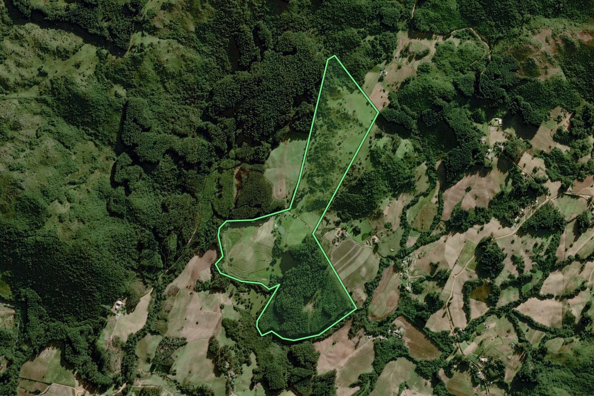 Imagem de satélite do imóvel rural em Dom Feliciano (RS), com o contorno declarado no CAR desenhado por cima.