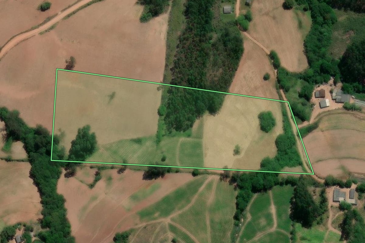 Imagem de satélite do imóvel rural em Dom Feliciano (RS), com o contorno declarado no CAR desenhado por cima.