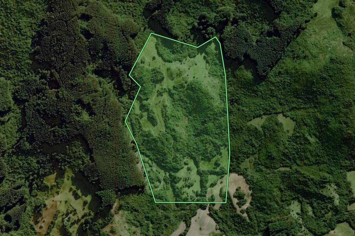 Imagem de satélite do imóvel rural em Dom Feliciano (RS), com o contorno declarado no CAR desenhado por cima.