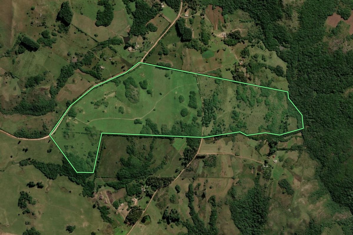 Imagem de satélite do imóvel rural em Dom Feliciano (RS), com o contorno declarado no CAR desenhado por cima.